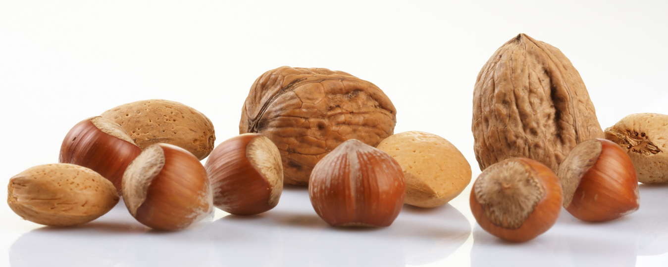 Guía sobre Frutos secos Navideños: Todo lo que necesitas saber sobre las castañas y las nueces