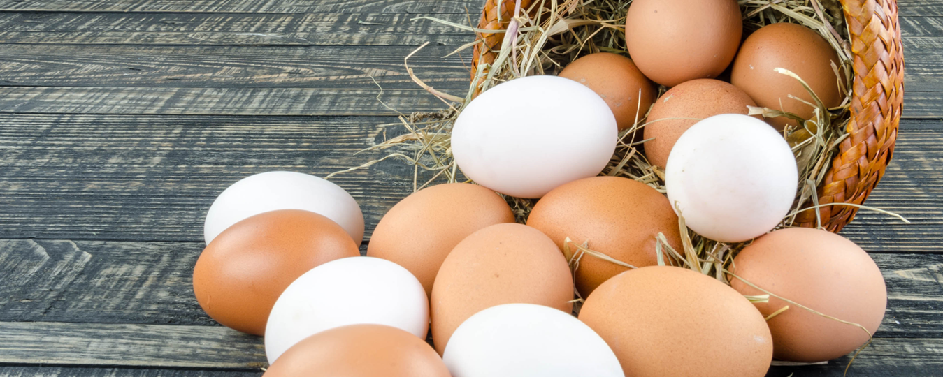 ¿Por qué comer huevos todos los días?