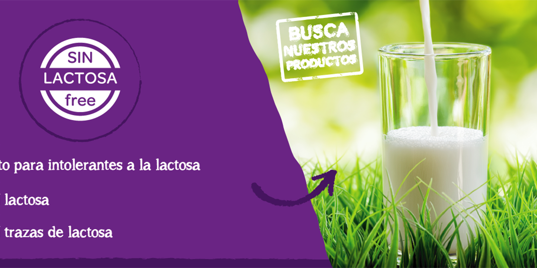 Guía para una dieta sin lactosa