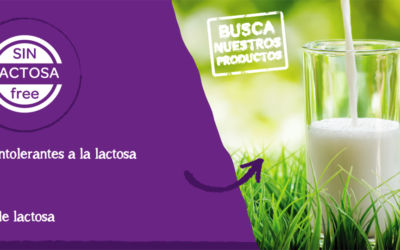 Guía para una dieta sin lactosa