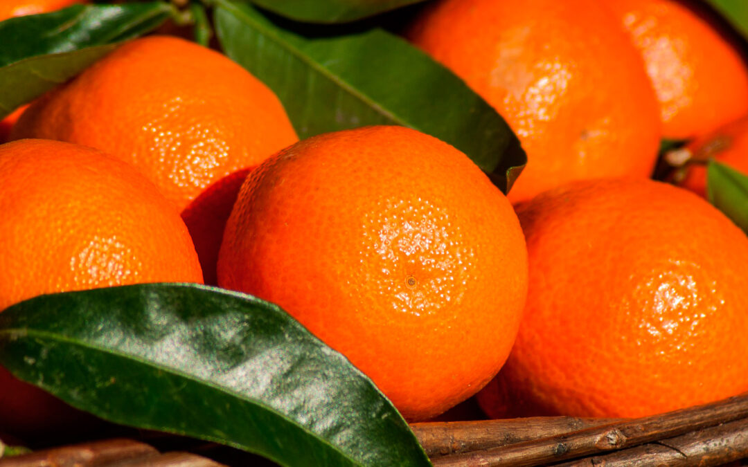 5 razones por las que la mandarina no puede faltar en tu despensa