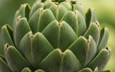 La alcachofa: una verdura muy saludable