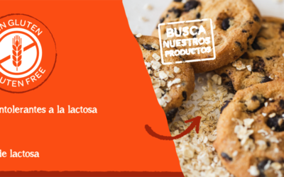 Guía Definitiva de Productos sin Gluten en Dialprix