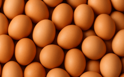 ¿Por qué comer huevos todos los días?
