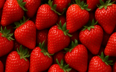 La Fresa: una fruta con muchas propiedades para la salud