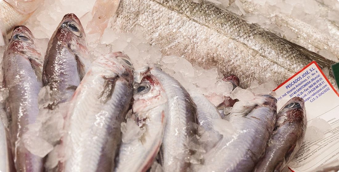 Pescado-1