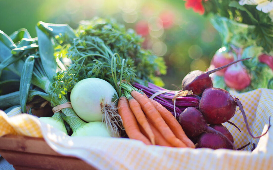 Pequeños cambios para una alimentación más saludable