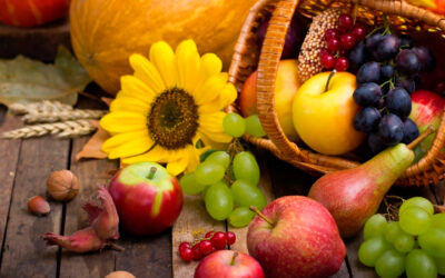 Alimentación para el otoño