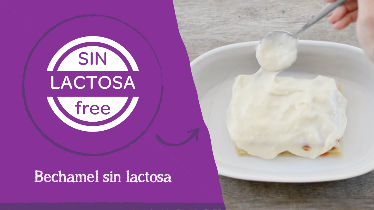 bechamel sin lactosa