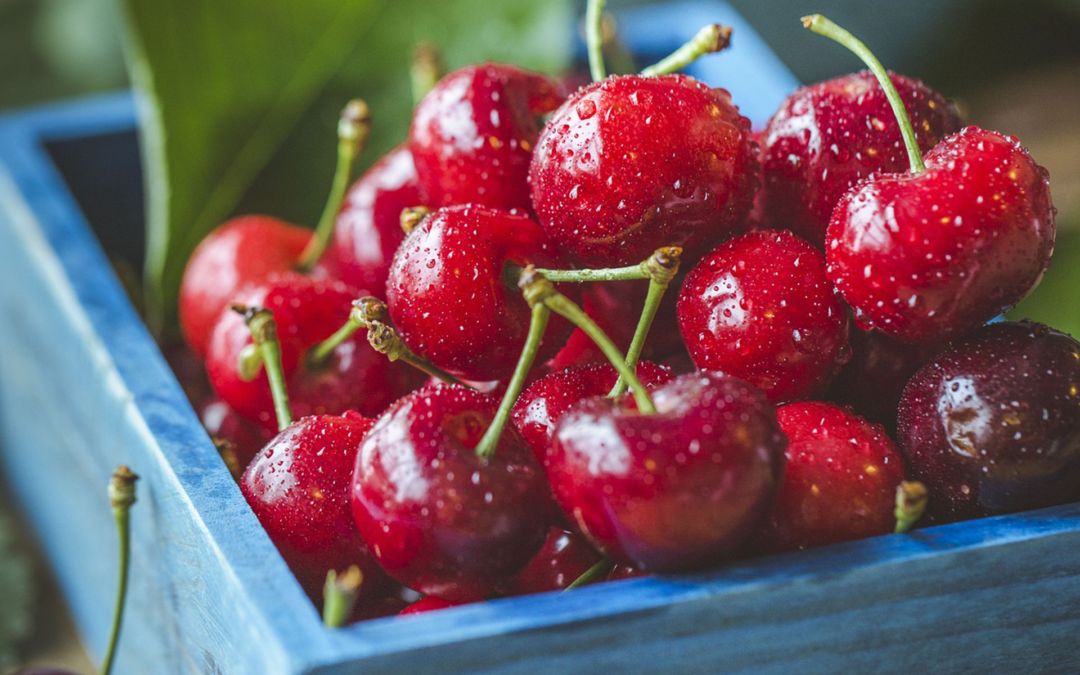 5 Razones para comer cerezas esta temporada