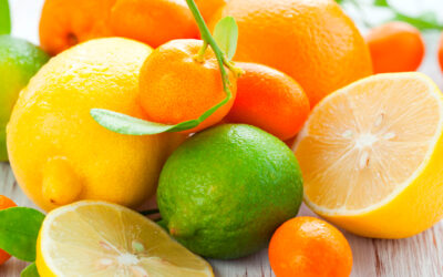 Cítricos, las frutas del invierno