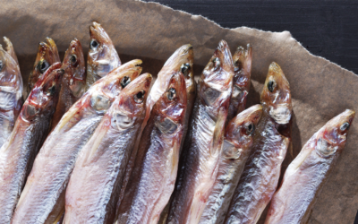 Cómo preparar una ensalada de capellanes rica y saludable