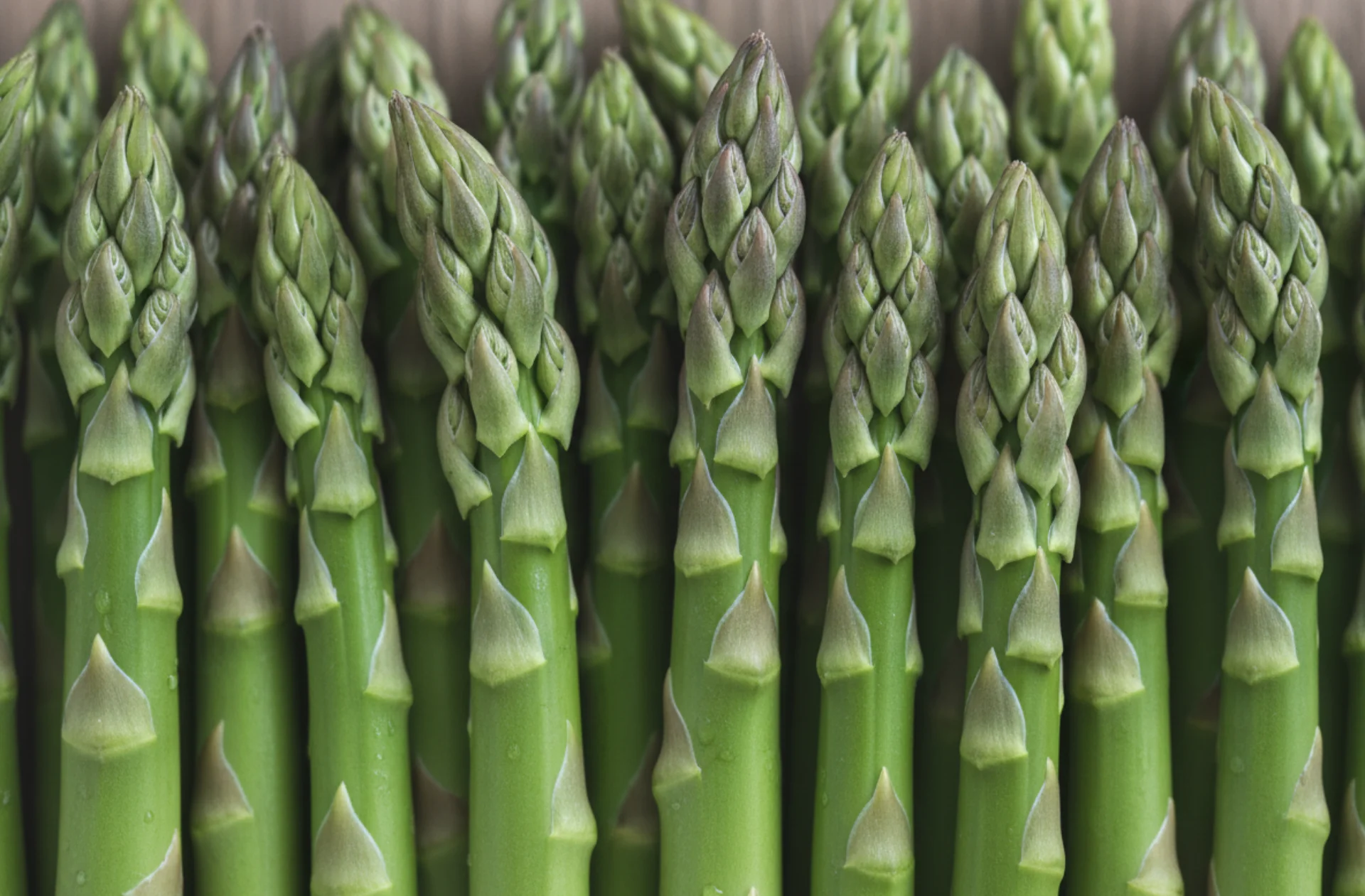 esparragos