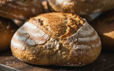 Qué aporta la fibra a nuestro cuerpo