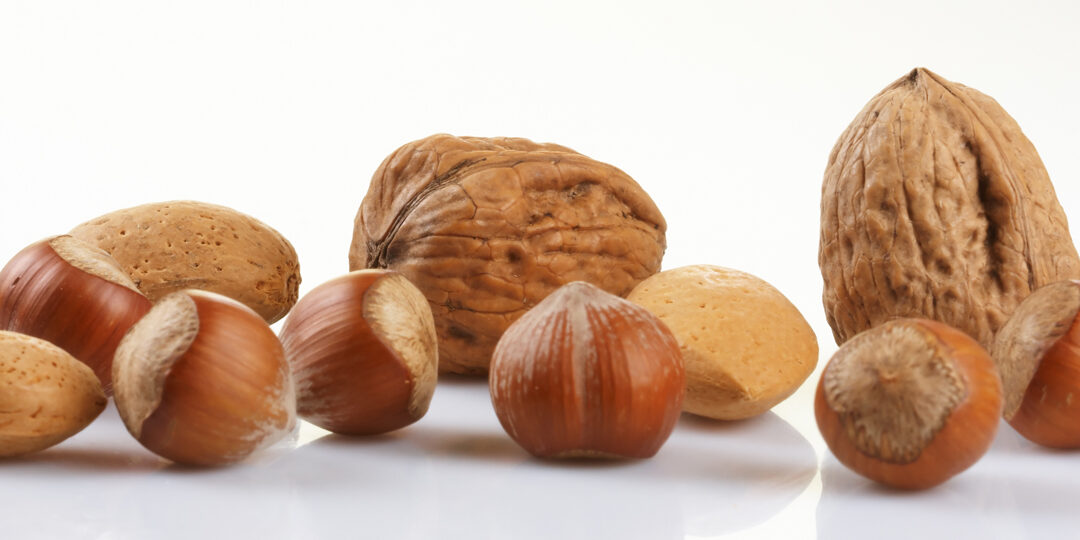 Guía sobre Frutos secos Navideños: Todo lo que necesitas saber sobre las castañas y las nueces