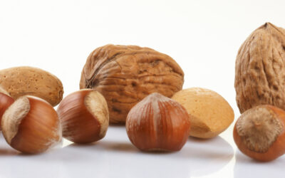 Guía sobre Frutos secos Navideños: Todo lo que necesitas saber sobre las castañas y las nueces