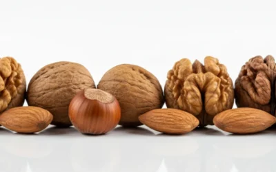 Guía sobre Frutos secos Navideños: Todo lo que necesitas saber sobre las castañas y las nueces