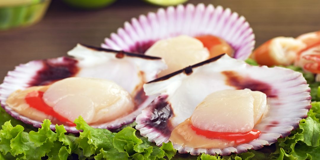 Guía sobre Vieiras: El alimento perfecto para ocasiones especiales