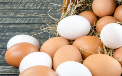 ¿Por qué comer huevos todos los días?