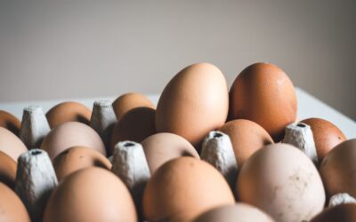 Consejos para prevenir la salmonelosis en verano