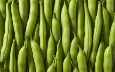 Judías verdes, ¿las introduces en tus menús?