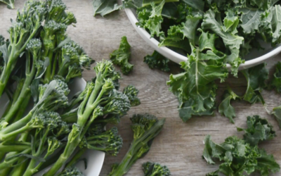 Ideas para cocinar kale y bimi
