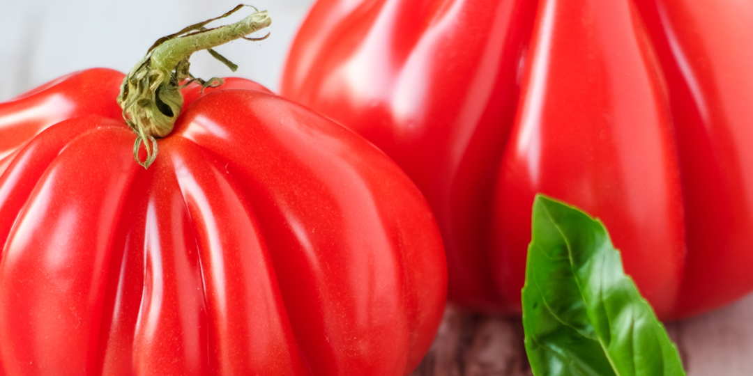 Las mejores variedades de tomate