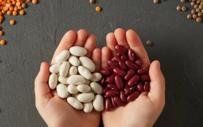 Como incluir legumbres en el menú de tus niños