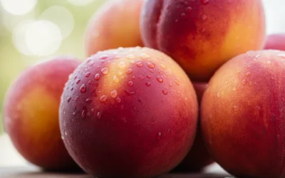 5 razones para comer frutas con hueso