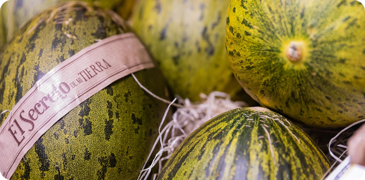 melon
