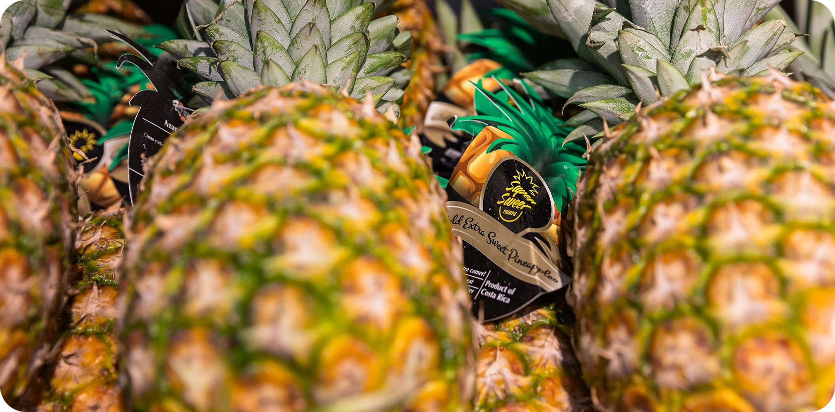 piña