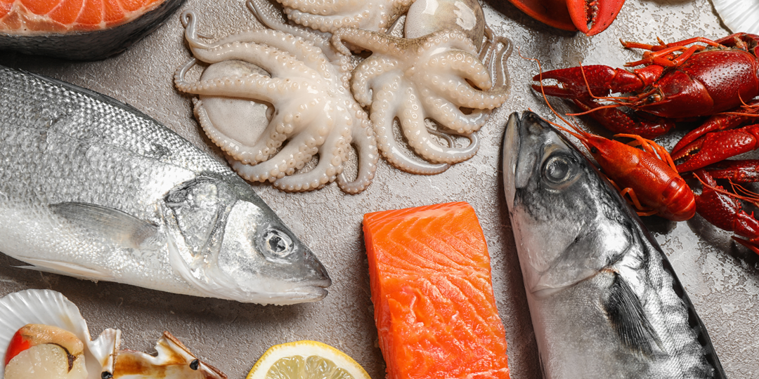 Disfruta del mejor pescado fresco en tus cenas Navideñas de este año