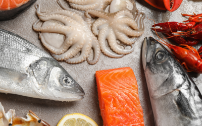Disfruta del mejor pescado fresco en tus cenas Navideñas de este año