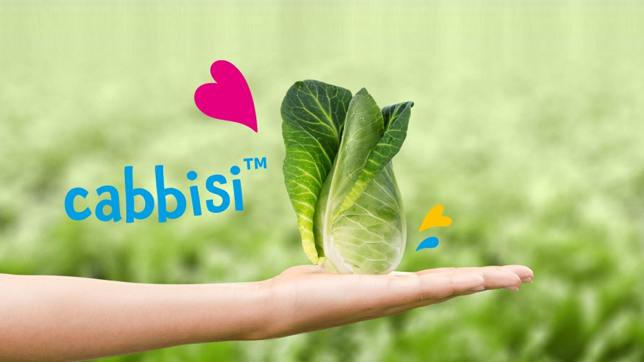 receta cabbisi