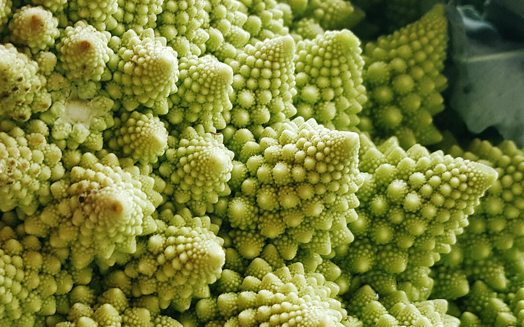 Hervidos de verduras: la mejor opción para el invierno