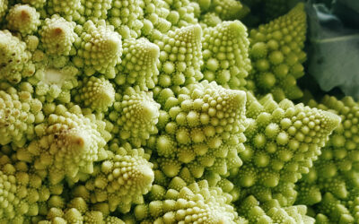 Hervidos de verduras: la mejor opción para el invierno
