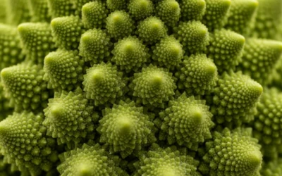 Hervidos de verduras: la mejor opción para el invierno