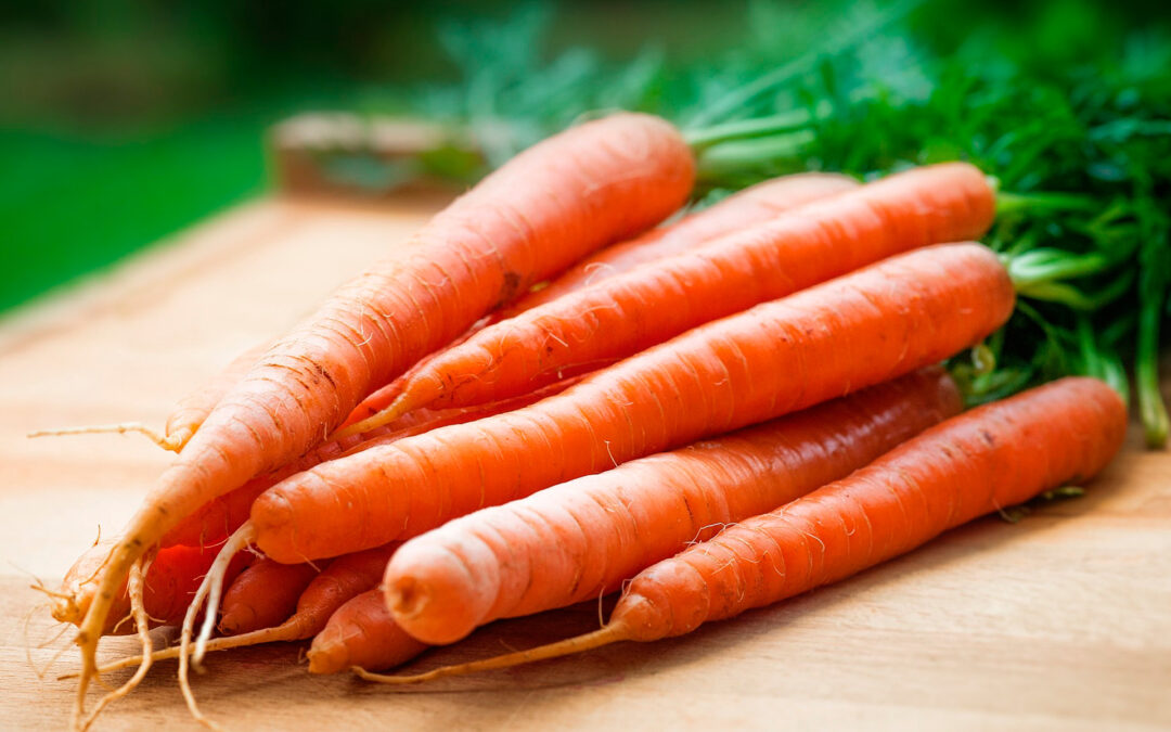 7 propiedades de las zanahorias que deberías conocer