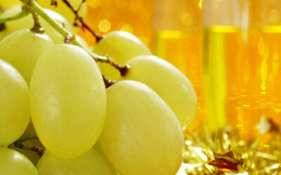 Guía completa para comer las uvas en fin de año: tipos de uva, tradición y tips para sobrevivir a una Nochevieja única